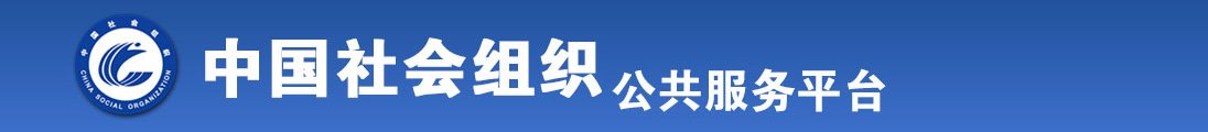 透逼网站全国社会组织信息查询